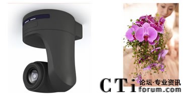 �������^���r��������